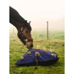 Horse Hay Pillow